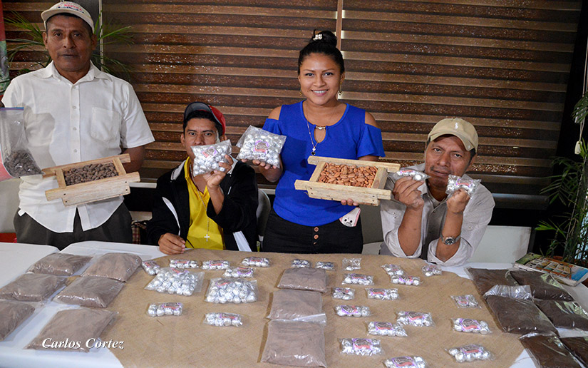 festival-chocolate-mefcca